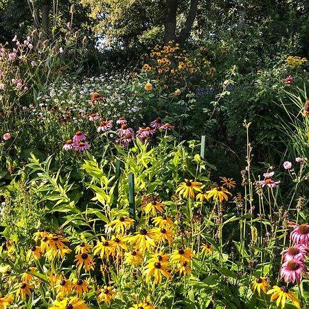 Gartenhaus Frieda Galmsbull Eksteriør billede