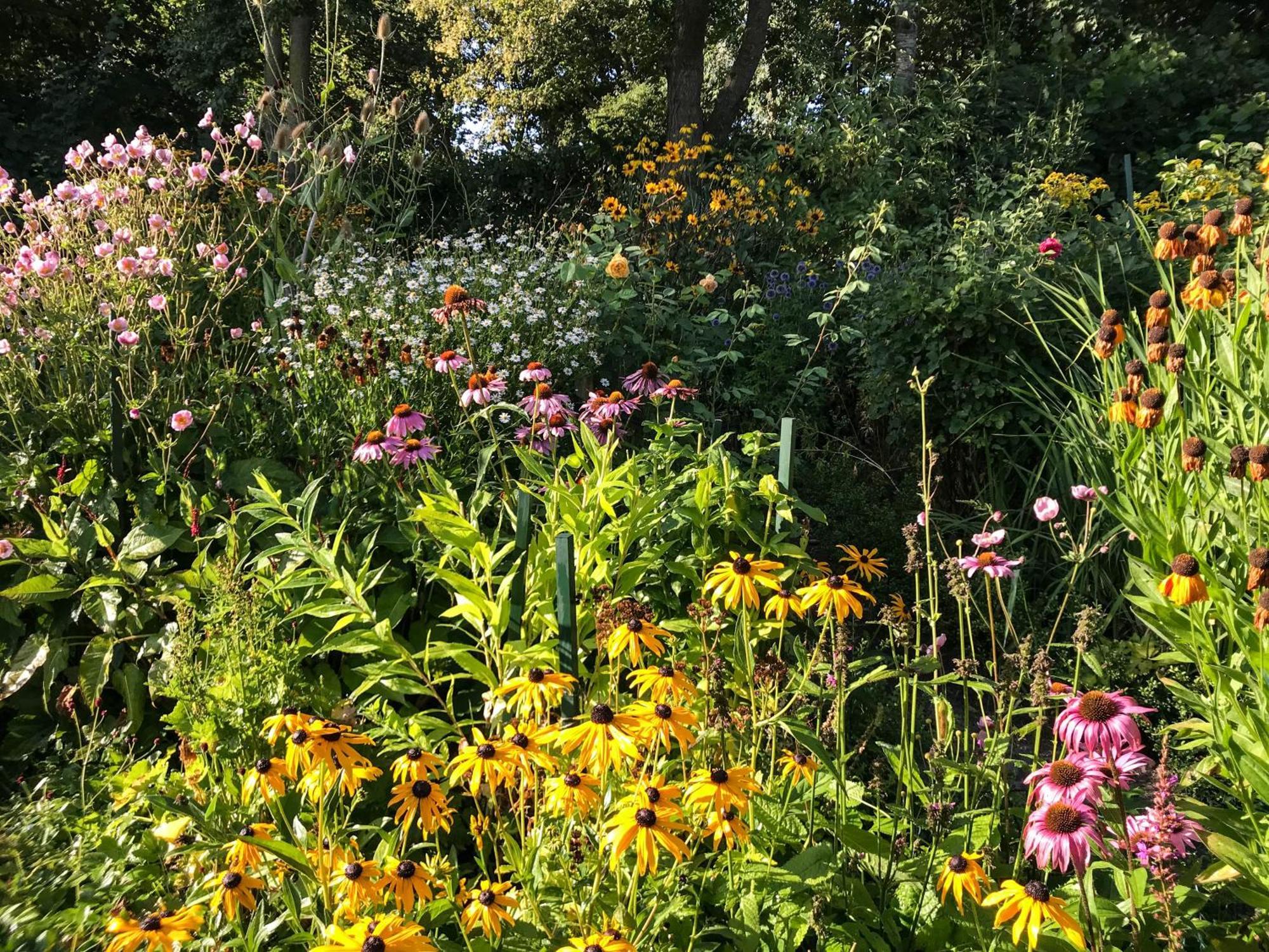 Gartenhaus Frieda Galmsbull Eksteriør billede