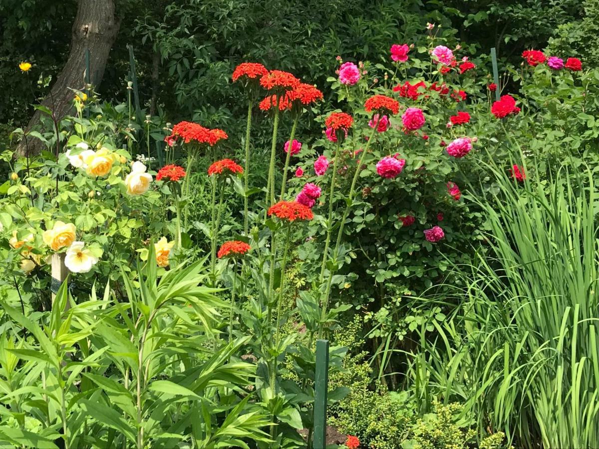 Gartenhaus Frieda Galmsbull Eksteriør billede