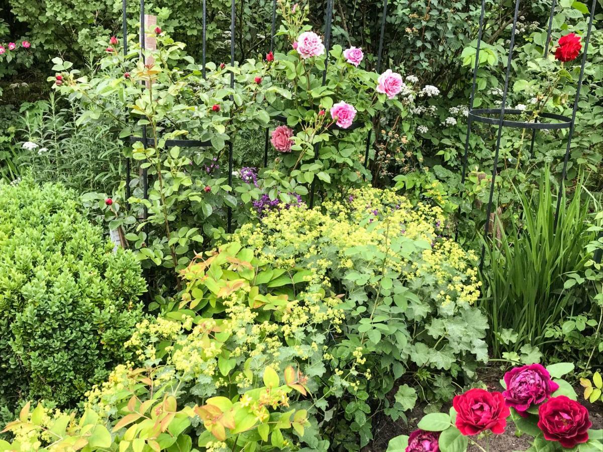 Gartenhaus Frieda Galmsbull Eksteriør billede